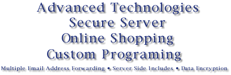 Secure Server - Online Shopping - Custom Programing